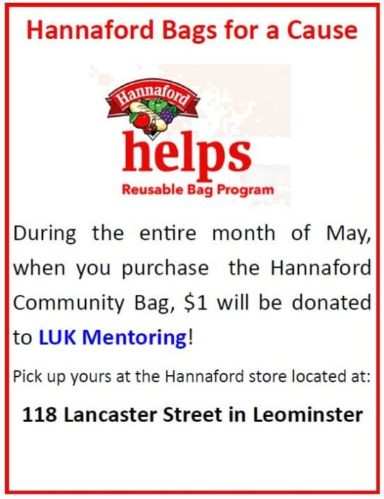 Hannaford Bags for a Cause North Central Massachusetts Chamber of