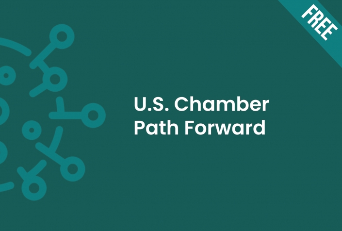 US chamber path forward