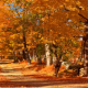 Fall in North Central Massachusetts