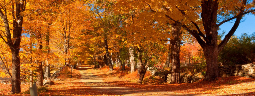 Fall in North Central Massachusetts