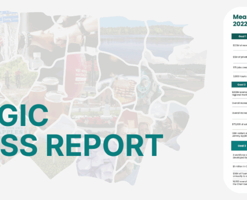 Strategic Progress Report